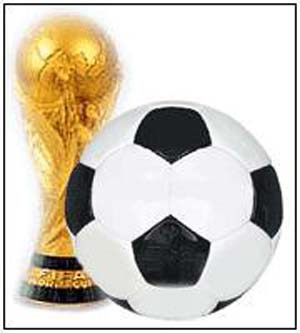نگرانی‌های میزبان جام جهانی ۲۰۱۰