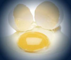 اثر مکمل های ویتامینه A و E روی مقدار ویتامین E زرده تخم مرغ