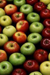 حفظ کیفیت و افزایش عمر انباری سیب محلی گلاب کهنز با استفاده از روش بسته بندی در اتمسفر تعدیل یافته