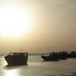 جزیره قشم؛ گوهر خلیج‌فارس