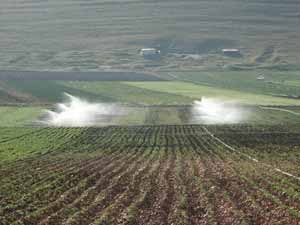 استفاده بهینه از آب در کشاورزی استان فارس
