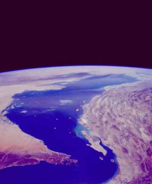 استثنایی در حلقه شیوخ خلیج‌فارس