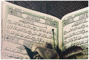 انتظار از قرآن در تفاسیر قرن اخیر