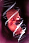 مقایسه عوامل جنینی و معیارهای سونوگرافی آندومتر در دوره های درمانی موفق و ناموفق کمک باروری