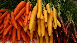 از فواید هویج چه می دانید