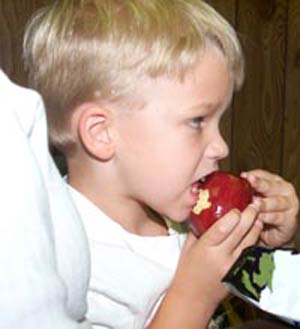 نکات مهم در تغذیه کودک در سال دوم زندگی