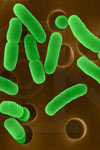 بررسی نقش باکتری‌ها در حذف ترکیبات مغذی از فاضلاب‌های شهری
