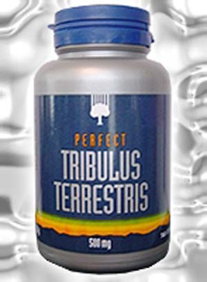 تریبولوس ترستریس