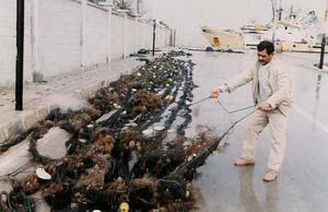 اهمیت استاندارد ادوات صید در خلیج فارس و دریای عمان