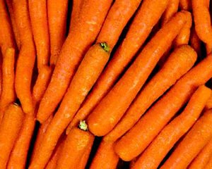 هویج Carrot