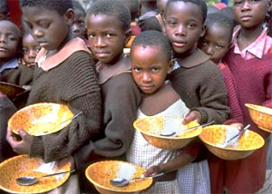 بحران جهانی غذا: علل و راه‌حل‌ها