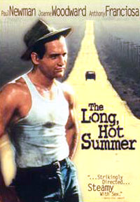 تابستان گرم طولانی - The Long Summer