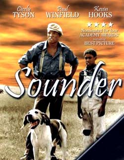 ساندر - Sounder