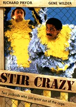 زندانی دیوانه‌شده - Stir Crazy