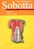 Atlas of human anatomy: sobotta: trunk, viscera
