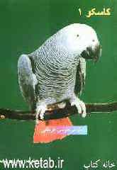 کاسکو (1): طوطی طوسی آفریقایی