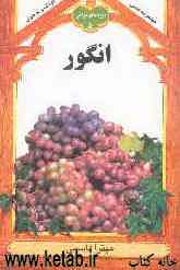 میوه‌های قرآنی: انگور