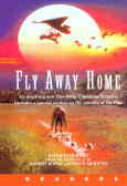 Fly away home: level 2