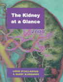 The kidney at a glance