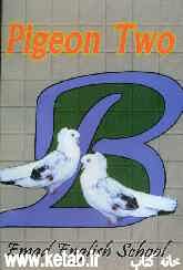 Pigeon Two