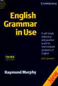 nglish grammar in use: a self - study reference and practice book for intermediate students of Engl