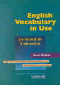 English vocabulary in use: pre-intermediate and intermediate
