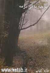 کوچه‌باغی در مه