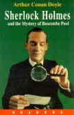 Sherlock Holmes And The Mystery Of Boscombe Pool: Level 3