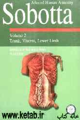 Atlas of human anatomy: sobotta: trunk, viscera, lower limb