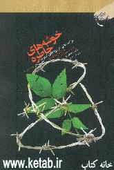 خوشه‌های خاطره (برگهایی از روزهای اسارت) به ضمیمه مطالعه‌ای درباره حقوق اسیران