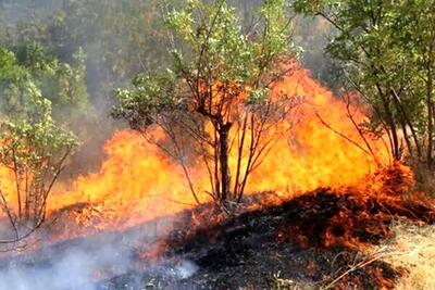 شعله های آتش ارتفاعات محدوده منطقه حفاظت شده خامی باشت را فرا گرفته است