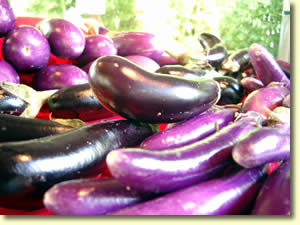 بادمجان Eggplant