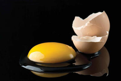 اگر بیش از حد تخم مرغ بخوریم چه می شود؟