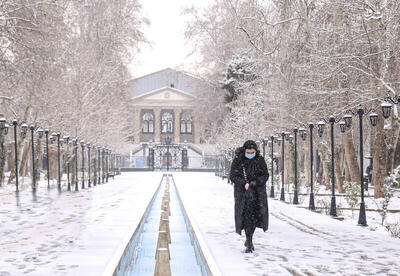 عکس/ اولین برف تهران
