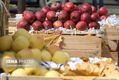 مکان یابی مراکز عرضه میوه شب عید در تمام شهرستان‌های گیلان