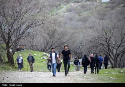 طبیعت گردی در منطقه حفاظت شده چالابه - کرمانشاه- عکس خبری تسنیم | Tasnim