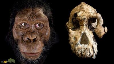 (تصاویر) دانشمندان چهرۀ یک انسان اولیه را شناسایی کردند؛ انسان اولیه این شکلی بود!