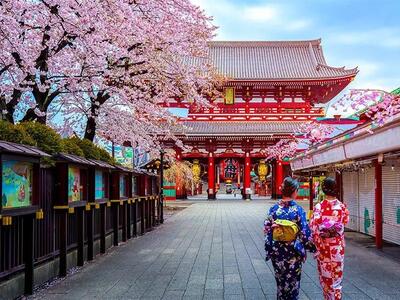 هانامی یا جشن شکوفه های گیلاس ژاپن چیست؟