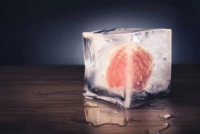 این بافت مغز انسان پس از ۱۸ ماه انجماد و سپس احیا، بدون نقص کار می‌کند