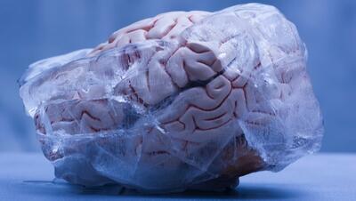 محققان چینی مغز منجمدشده انسان را دوباره زنده کردند