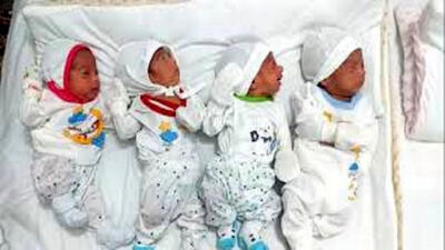 تولد نوزادان ۴ قلو در کاشان / همه شوکه شدند