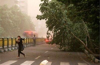 وزش باد خیلی شدید در تهران | روزنو