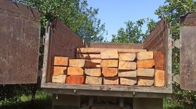 ۳ باند سازمان یافته قاچاق چوب در غرب مازندران متلاشی شد