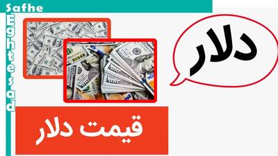 دلار حسابی ترکوند! / قیمت دلار امروز چهارشنبه ۲ خرداد ۱۴۰۳