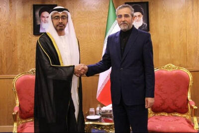 وزیر خارجه امارات با علی باقری دیدار کرد
