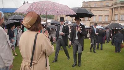 ویدیوها. شاهزاده ویلیام میزبان جشن تابستانی سلطنتی در کاخ باکینگهام