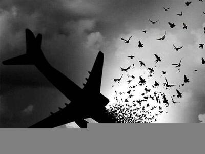 ماجرای سانحه هوایی برای محسن رضایی و احمدی نژاد /پروازهایی که «آسمانی» ماندند