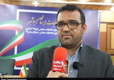 هیئت‌های اجرایی انتخابات 10 خرداد در بوشهر تشکیل می‌شود - تسنیم