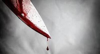 راز یک قتل در باغ ورامین: عشق ممنوعه و انتقام خونین