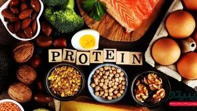 اصلی‌ترین منابع پروتئین که مردم در مناطق مختلف جهان مصرف می کنند+ اینفوگرافیک